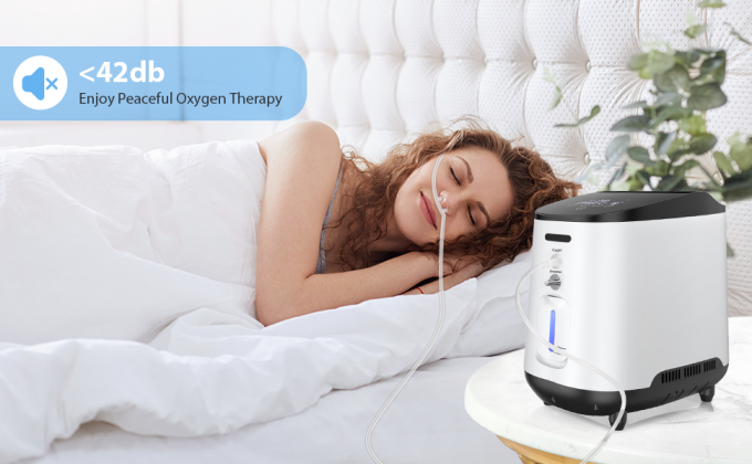 อุปกรณ์กําเนิดออกซิเจนอัตราดีเด่นในห้องออกซิเจนไฮเปอร์บาร์ริก ด้วยการใช้พลังงาน 350 วัตต์ 3